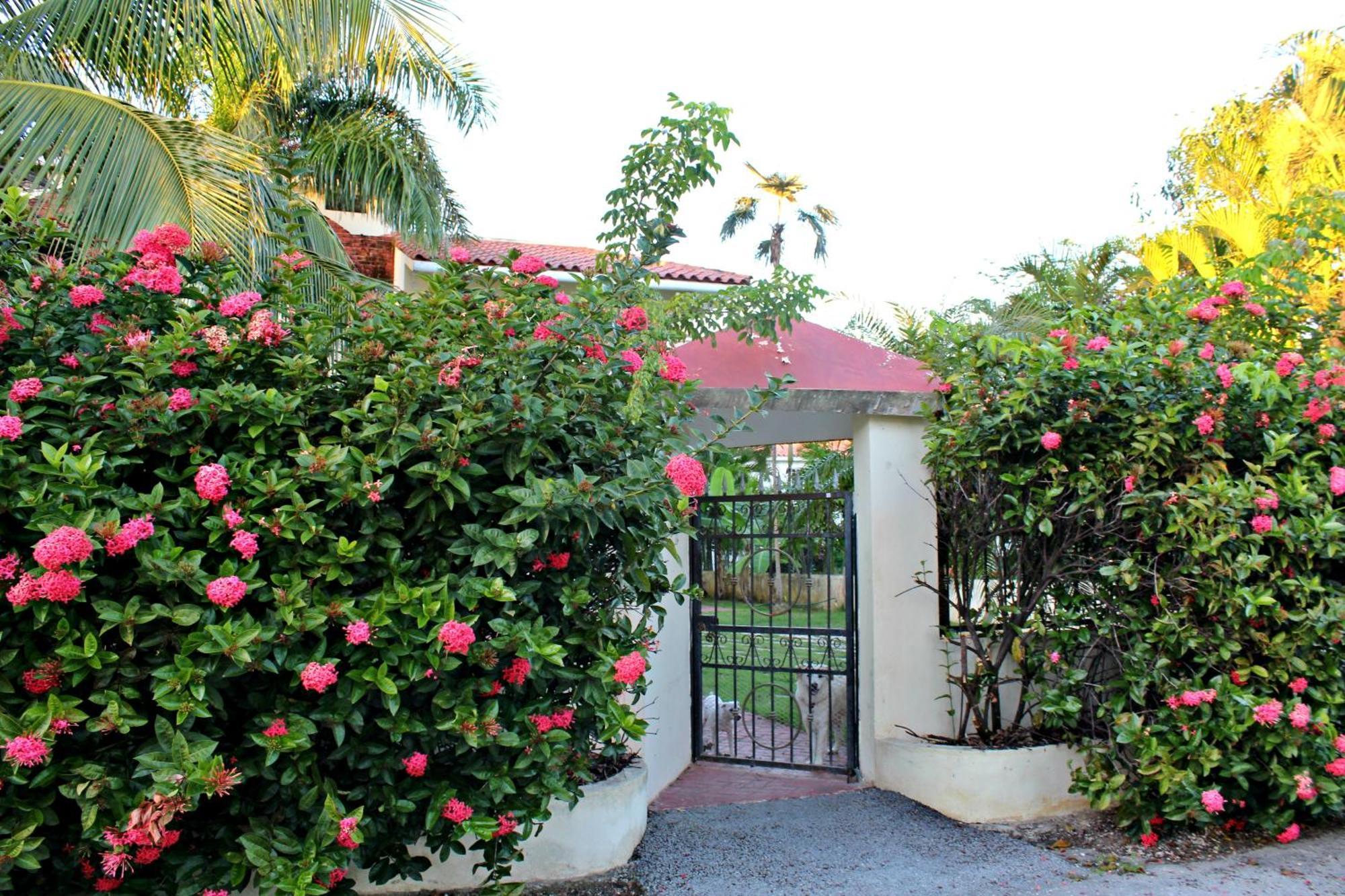 Sweet Home Punta Cana Guest House - Villa Q15A Екстериор снимка